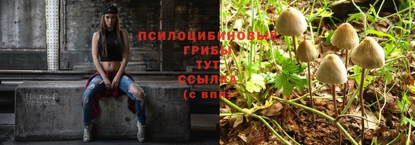 ALPHA-PVP Алексеевка