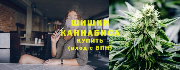 молекула духа Пересвет